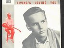 Robin Luke 1958 International 45rpm Picture Sleeve (ONLY) Susie Darlin' NM TeeN