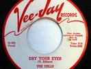 DELLS 45 Dry your eyes / Baby, open up your heart VEE JAY (DJ) Doowop ws326