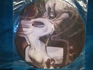 Atrocity Hallucinations Picture LP