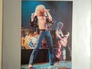 LED ZEPPELIN 