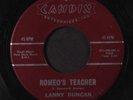 LANNY DUNCAN: Romeo's Teacher / Why Did We Say Goodbye 45 rare Rockabilly