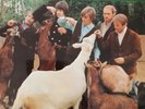 THE BEACH BOYS L.P. RECORD PET SOUNDS VGC