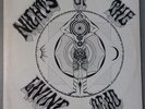 Grateful Dead Nights Of The Living Dead Live Vinyl LP Australia Import Psych