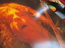 AC/DC ? LET THERE BE ROCK ? TADELLOS ARCHIVBESTAND 1st PRESS 