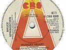 Bruce Springsteen Hungry Heart 7