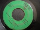 VELONS THAT'S ALL RIGHT 45 RECORD THAT'S WHAT LOVE CAN DO B.J.M. 6569 NORTHERN