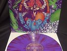 Liquid Sound Company Inside The Acid Temple LP Splatter Vinyl Causa Sui Rock NEW