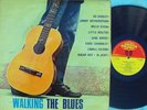Walking the blues ORIG UK LP EX ’64 Pye Willie Dixon Lowell Fulson Little Walter