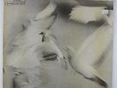 Donald Byrd - Free Form LP - Blue Note - BST 84118 Stereo RVG NY USA