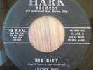 RARE 45 Archie Poe Rim Rock Boys Big City/For The Last Time Hark Ohio rockabilly