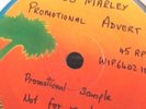 Bob Marley Promotional Advert (waiting in vain)