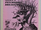 Alan's Psychedelic Breakfast splash vinyl LP Roger Waters psych rock Pink Floyd