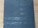 UK Decay New Hope For The Dead 2013 Euro LP Oil Effect Sleeve New Post Punk Goth