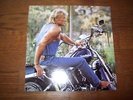 JOHNNY HALLYDAY L.P PICTURE 