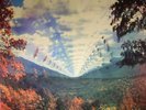 TAME IMPALA - Innerspeaker - Vinyl (gatefold 2xLP)