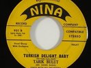Tarik Bulut 