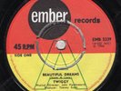 TWIGGY-BEAUTIFUL DREAMS-EMBER-***DEMO WITH PICTURE SLEEVE***