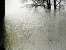 For Emma, Forever Ago - BON IVER [LP]