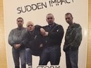 sudden impact storm skinhead isd