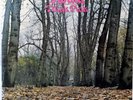 Twink / Think Pink / Polydor 2310 057  Germany 1970 / sehr rar