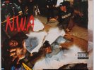 NWA: Niggaz4Life Efil4zaggin  ’91 Gangsta Rap Hip Hop GERMAN IMPORT OG LP