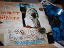 Doors - Celebration - Rare Swingin Pig EU 80s Vinyl Album - Jim Morrison - Look