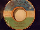 VERY Rare PRINCE ALLA Their Reward DALPIN Roots reggae JA 7