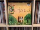 The Sound Of Sunforest 1969 Rare First Pressing Deram Nova Psych/folk