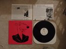 SCREECHING WEASEL BOOGADA ROADKILL LP RAMONES QUEERS LILLINGTONS NOFX GREEN DAY