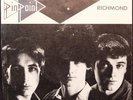 PINPOINT - Richmond/Love Substitute - THE LURKERS - 1979 UK PUNK/KBD/powerpop