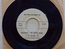 BEECH NUT LIFE SAVERS Garage Rock The Sting Rays Sour Song PROMO 45