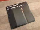 sonic youth DAYDREAM NATION lp enigma records blast first ORG 2xLP 75403-1
