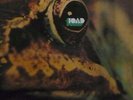33T.   TOAD    