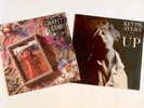 Kevin Ayers ?- Falling Up + Giant Sand ?- The Love Songs - Alternative Rock - LP