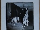 Van Morrison ?– Days Like This, LP,  Polydor ?– 527 307- 1, Exile ?– 527 307- 1