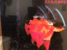 Black Sabbath Paranoid Vinyl