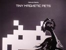 TINY MAGNETIC PETS - Deluxe/Debris - Vinyl (LP)