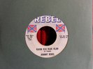 JOHNNY REBEL  Kajun Klu Klux Klan / Looking For A Handout 