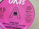 Demo - Little Richard - A Little Bit Of Something/ Poor Dog (Outta Sight)
