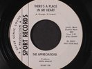 APPRECIATIONS: There's A Place In My Heart / She Never Really Loved Me 45 (dj,
