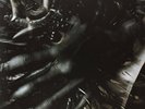 Scott Walker-Tilt  VINYL NEW