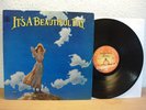 IT'S A BEAUTIFUL DAY - SAME  PSYCH LP IN MINT CONDITION