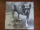 Alice in Chains S/t Columbia 2x LP très RARE 1995 Original neuf vinyl