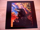 The Stranglers The Raven 180g Black Vinyl +Red LP 2016 (No Sleeve) FAST DISPATCH