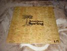 AMERICAN SPRING - S/T VERY RARE 1ST UK ISSUE LP ..WITH BRIAN WILSON
