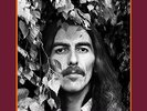 GEORGE HARRISON VINYL BOXSET