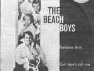 THE BEACH BOYS 45 BARBARA ANN+PS HOLLAND RARE