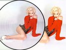 MADONNA - REBEL HEART LP PICTURE DISC VINYL with PIC SLEEVE New / Mint