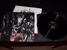 Infester To The Depths In Degradation LP 12