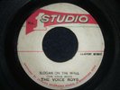 THE VOICE ROYS - SLOGAN ON THE WALL   (Roots Reggae)  45